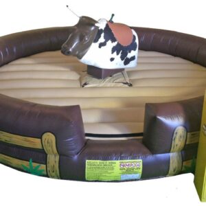 Where to Rent Mechanical Bull Online
