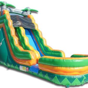 Tropical Palm Tree Slide