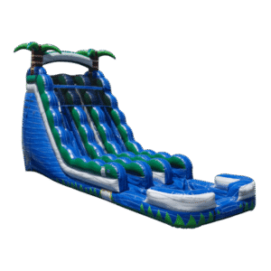25 Ft Double Lane Water Slide